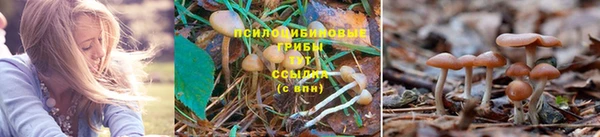 герыч Струнино